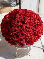 501-red-roses-long-box-arrengement-flowers-in-belek-1-1.webp
