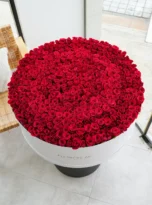 501-red-roses-long-box-arrengement-flowers-in-belek-1.webp