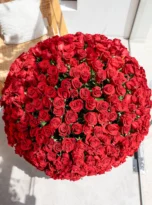 501-red-roses-long-box-arrengement-flowers-in-belek-2-1.webp