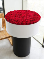501-red-roses-long-box-arrengement-flowers-in-belek-2.jpg