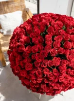 501-red-roses-long-box-arrengement-flowers-in-belek-3.webp