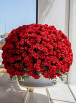 501-red-roses-long-box-arrengement-flowers-in-belek-4.jpg