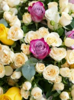 mix-roses-arrengement-flowers-in-antalya-2.webp