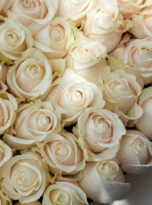 white-roses-heart-box-arrengement-flowrs-in-bogazkent-2.webp